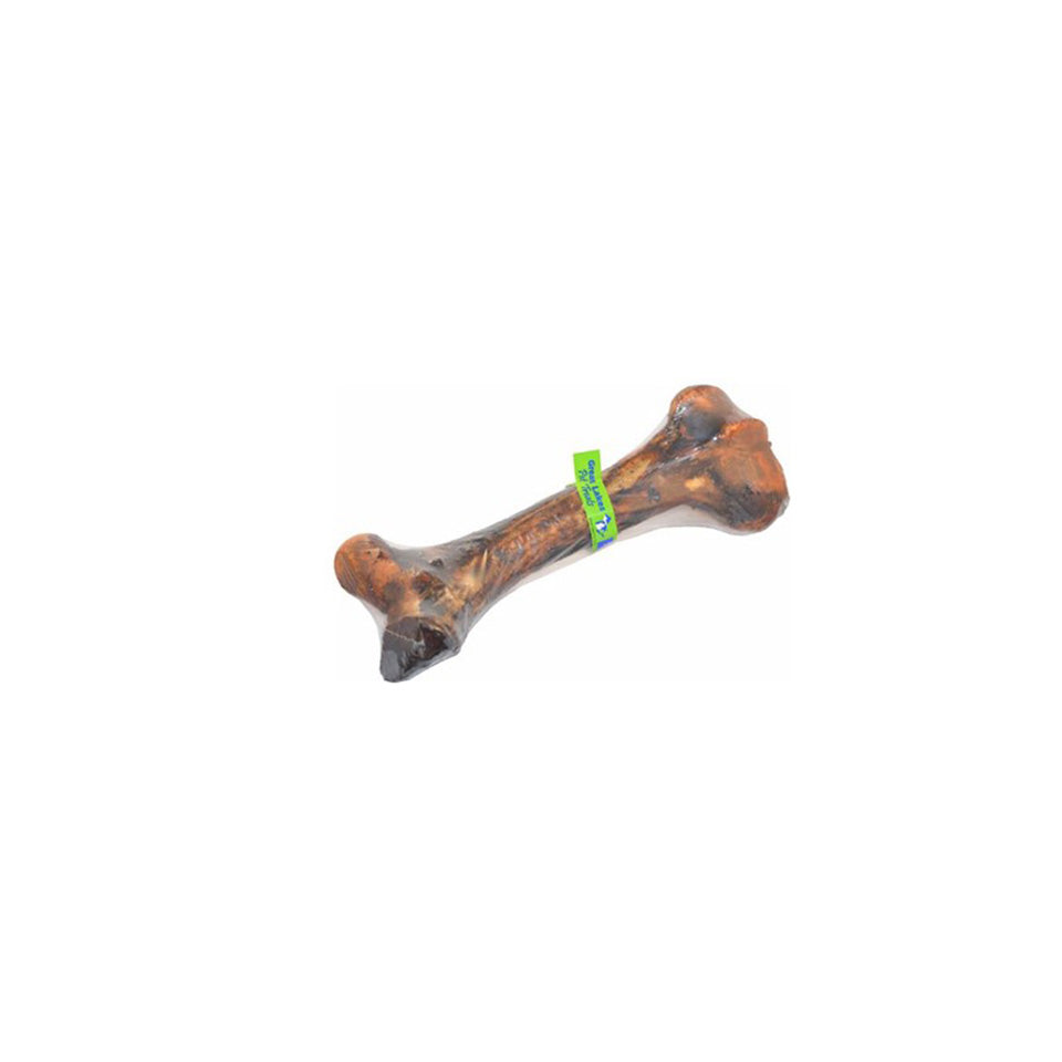 Great Lakes Dino Bone