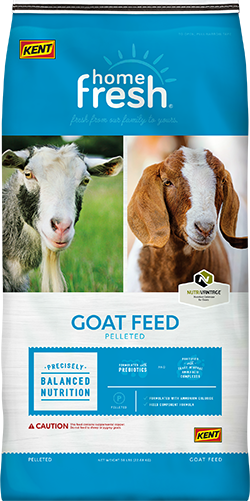 Kent Home Fresh 16 Goat Grow & Finish