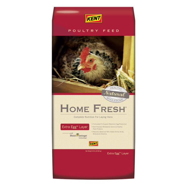 Kent Home Fresh Extra Egg Layer
