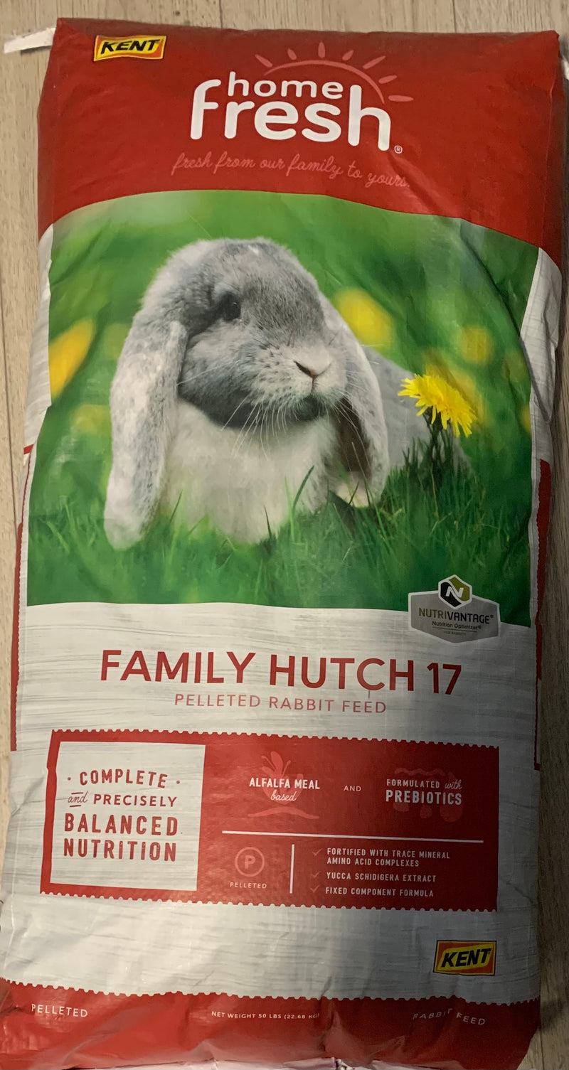 Kent Family Hutch 17