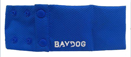 BAYDOG Artic Bay BAYDOG Blue Cooling Collar