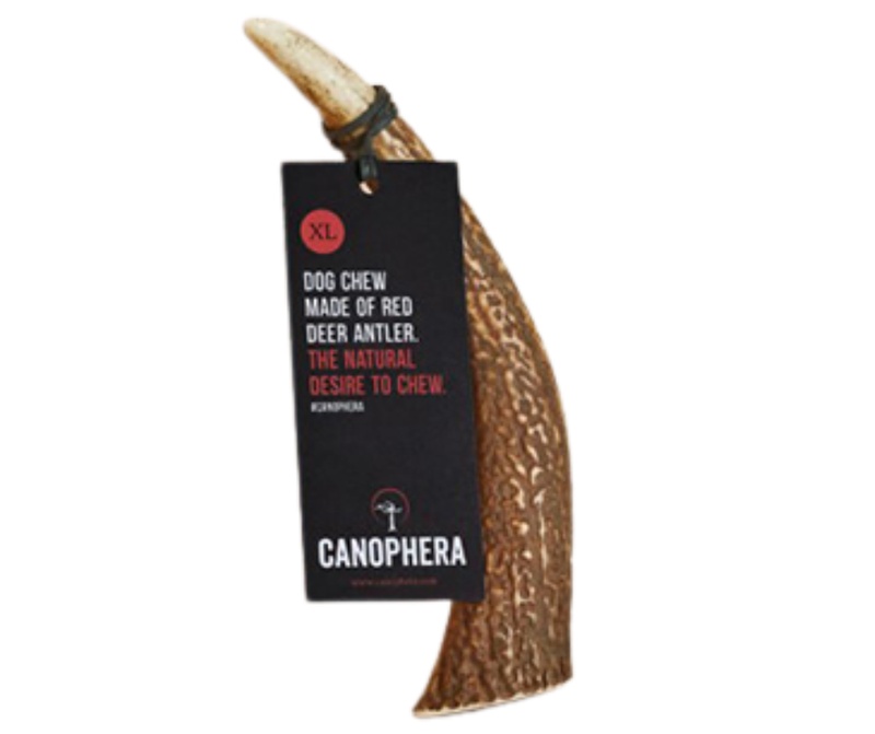 Canophera Red Deer Full Antler Chew