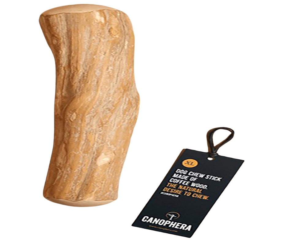 Canophera