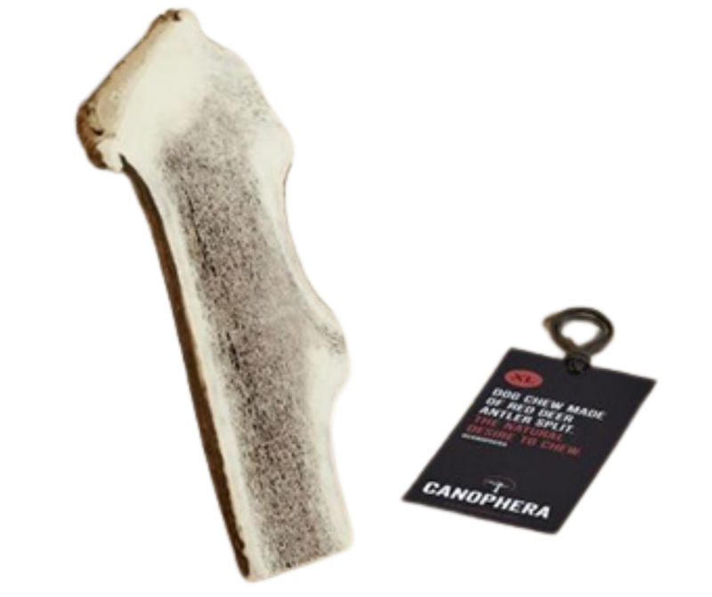 Canophera Split Red Deer Antler Chew