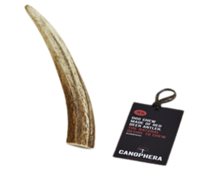 Canophera Red Deer Full Antler Chew
