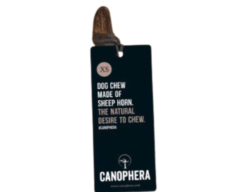 Canophera  Sheep Horn