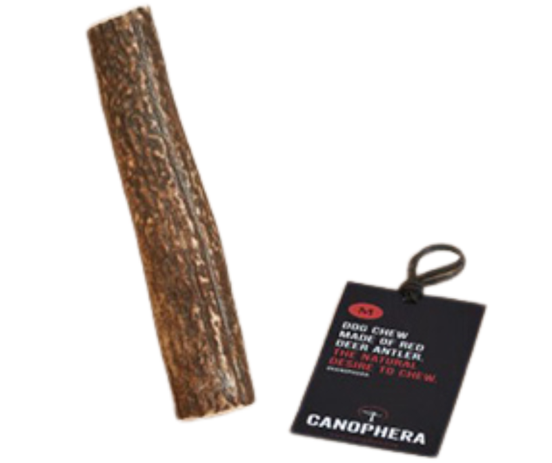 Canophera Red Deer Full Antler Chew
