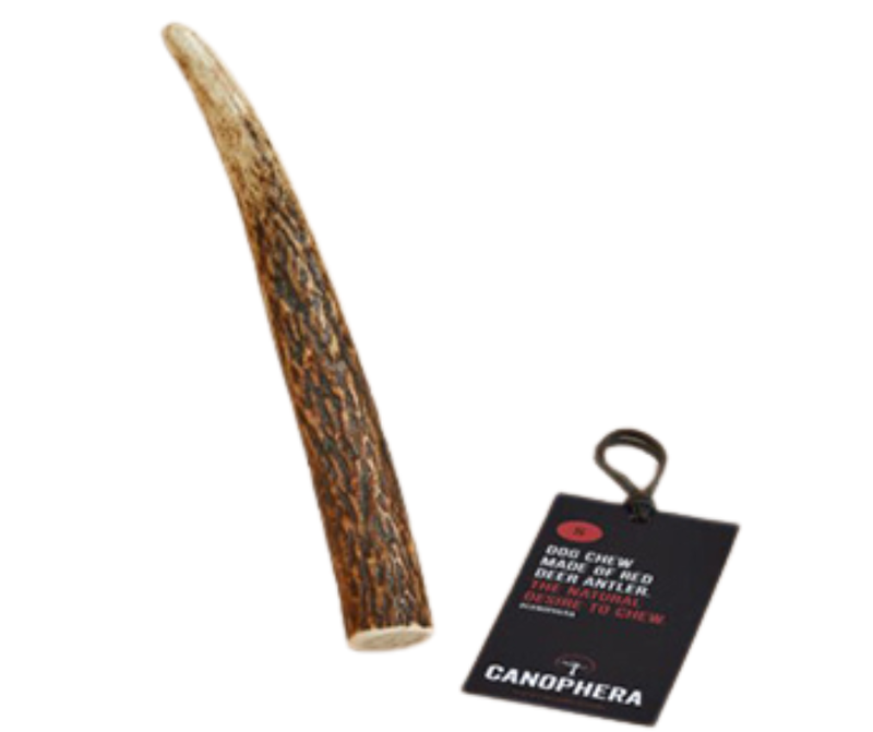Canophera Red Deer Full Antler Chew