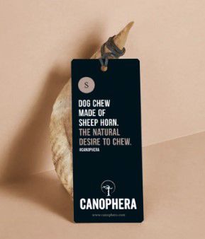 Canophera  Sheep Horn