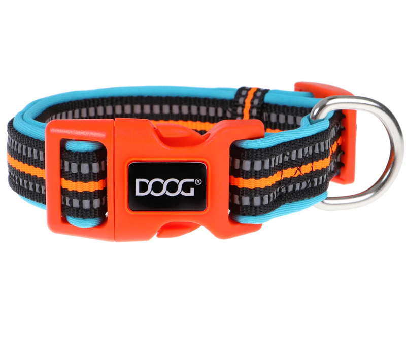 Doog Small Beethoven Neon Dog Collar