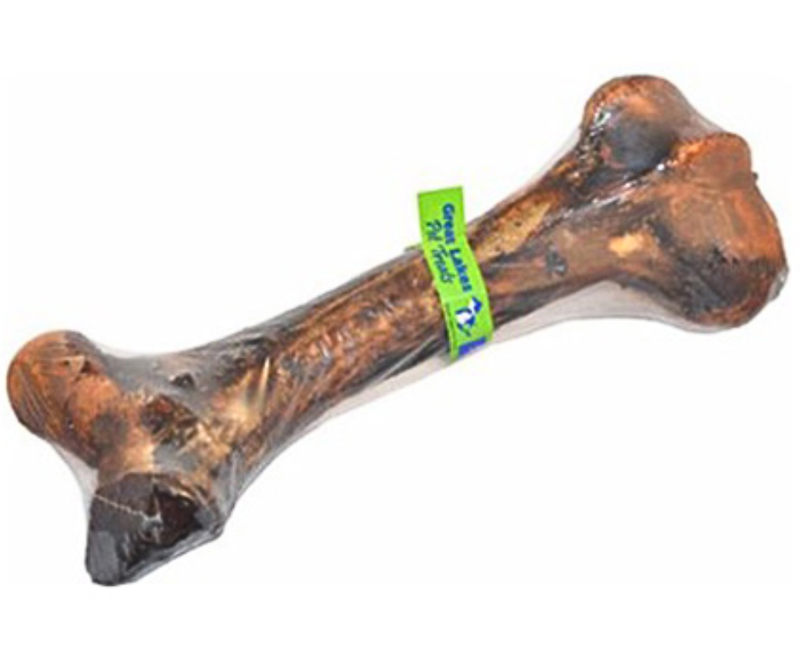 Great Lakes Dino Bone