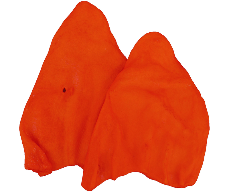 Great Lakes Cow Ears Beef