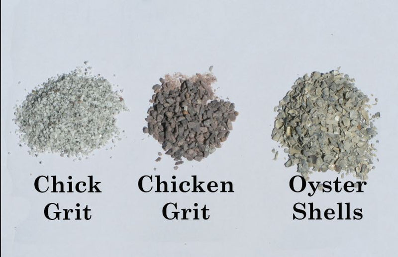 Kraut Creek Poultry Grit