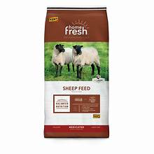 Kent HF 15 Sheep Grow Finish 18DQ