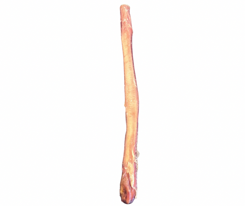 Great Lakes 10-12" Bully Stick