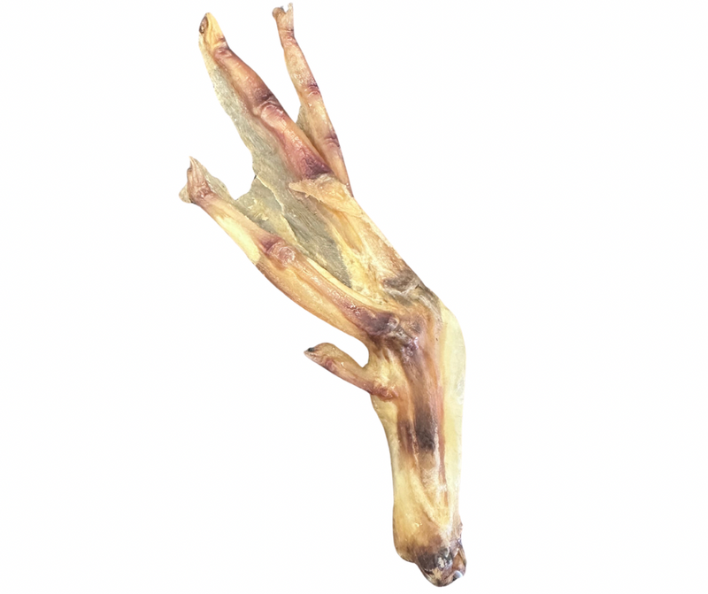 Great Lakes Duck Feet