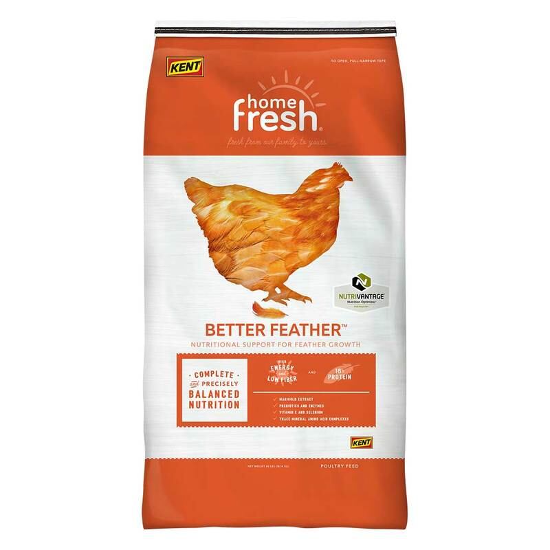Kent Nutrition Better Feather Poultry Pellet feed