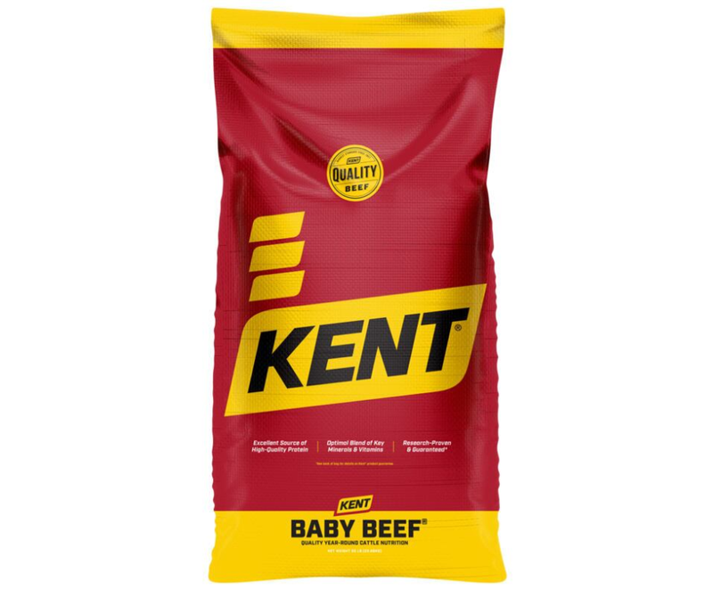 Kent Baby Beef 34 400B