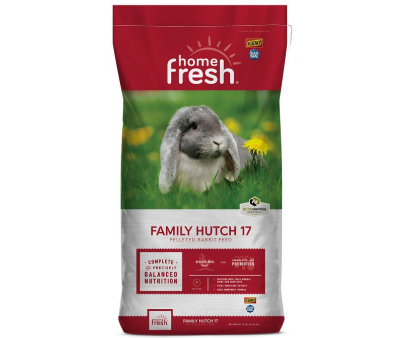 Kent Family Hutch 17