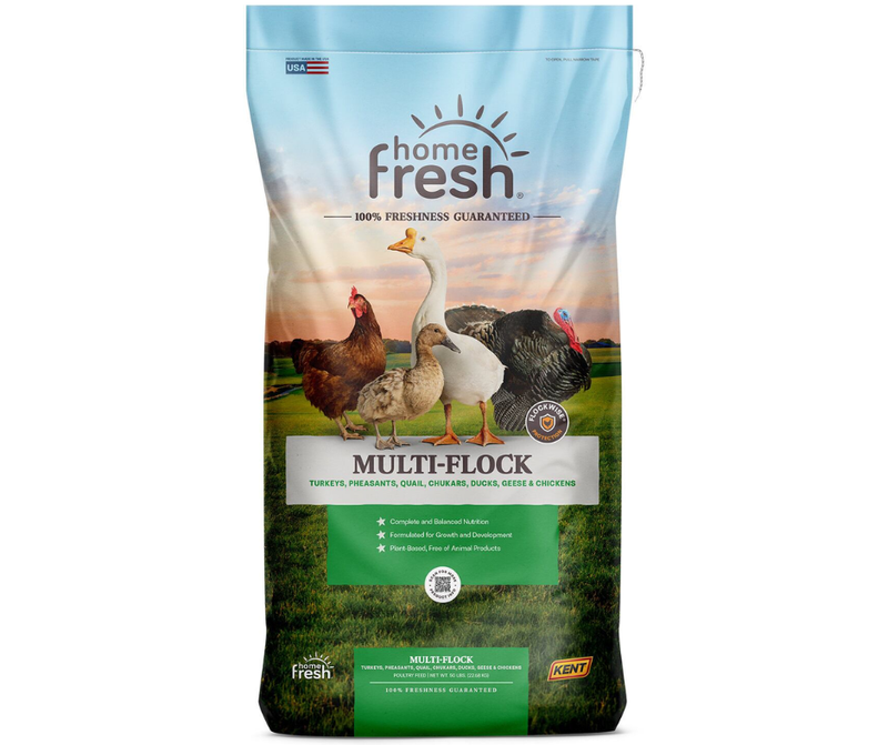 Kent Home Fresh Multi-Flock Chick 'N Game Starter/Grower 22%