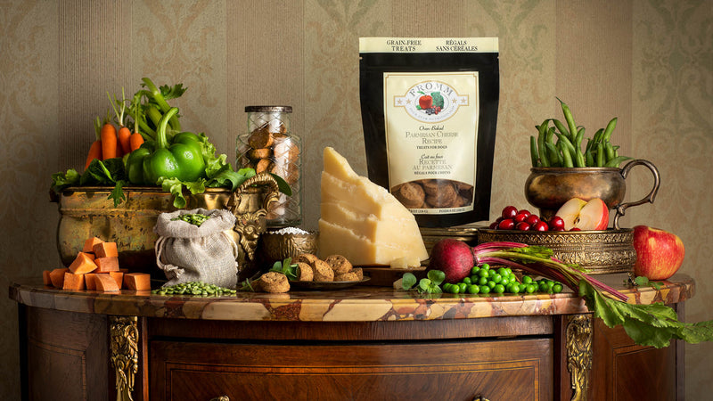 Fromm Family Four Star Parmesan Treats