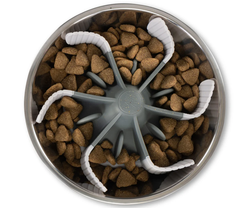 Messy Mutts Slow Feeder Bowl Insert with Suction For Dogs