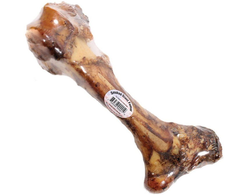 Nature's Own Giant Femur Bones