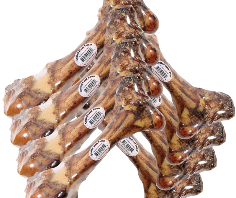 Nature's Own Giant Femur Bones
