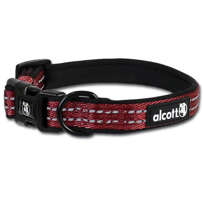 alcott Adventure 10 - 14in Small Dog Collars