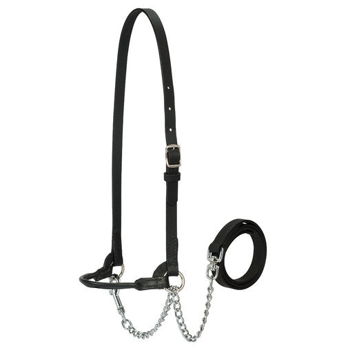 Weaver Leather Show Cattle Halter