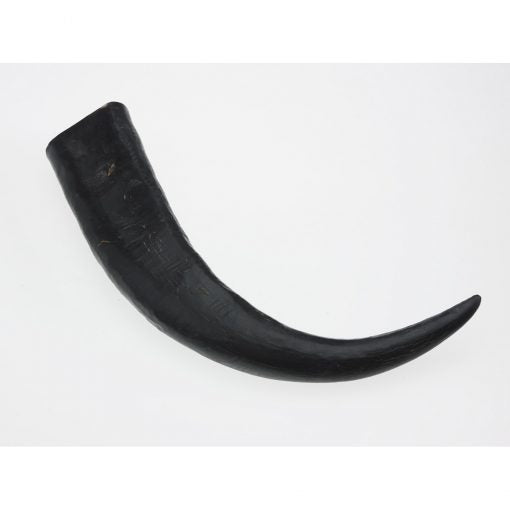 Aussie Naturals Water Buffalo Bully Horn