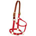 Weaver Leather Products Average Red Breakaway Halter