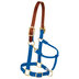 Weaver Leather Products Average Blue Breakaway Halter