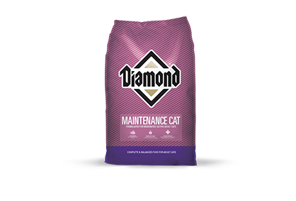 Diamond Maintenance Dry Cat Food