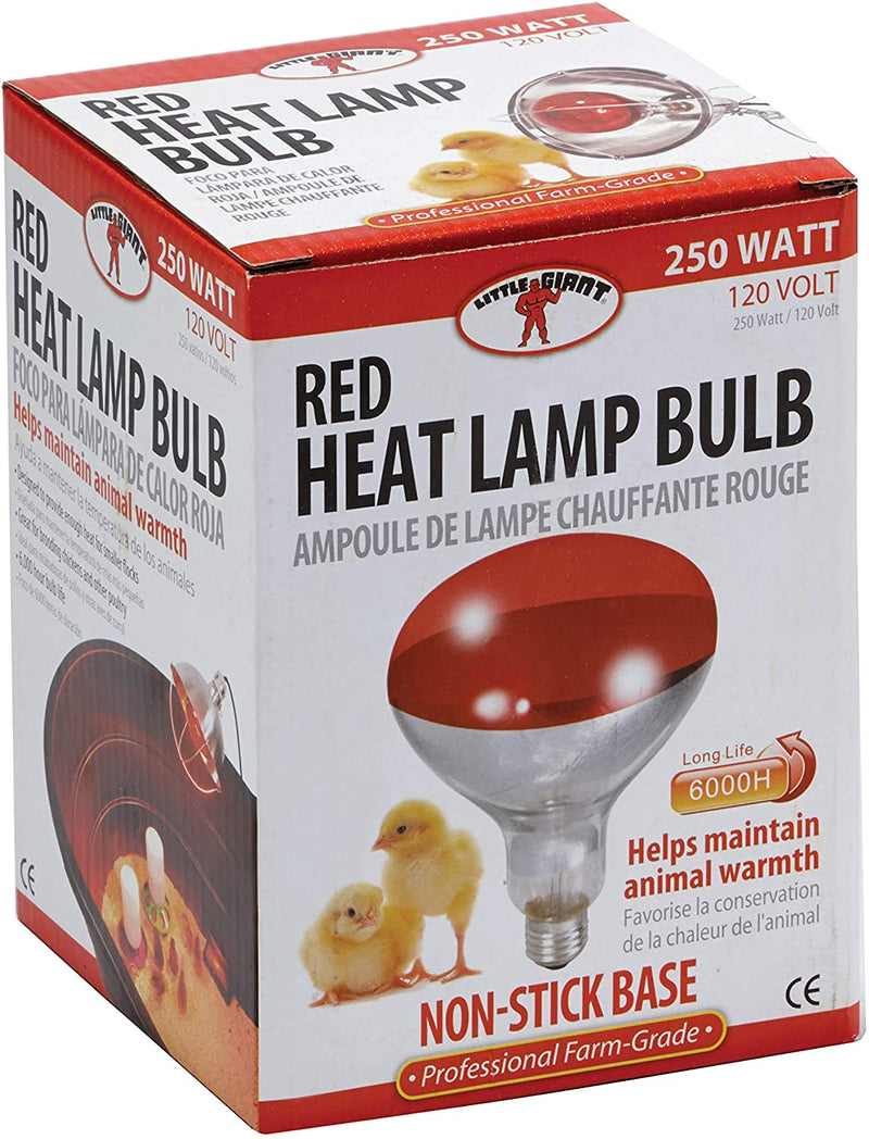 Red 250 Watt Heat Lamp Bulb