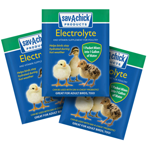 Save-A-Chick Electrolytes 3-Pack strip