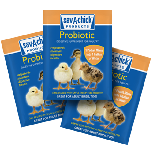 Sav-A-Chick Probiotics 3-Pack Strip